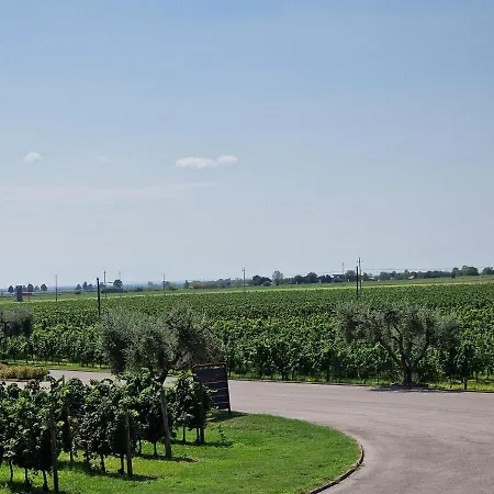 Hotel Borgo Tesis 3*